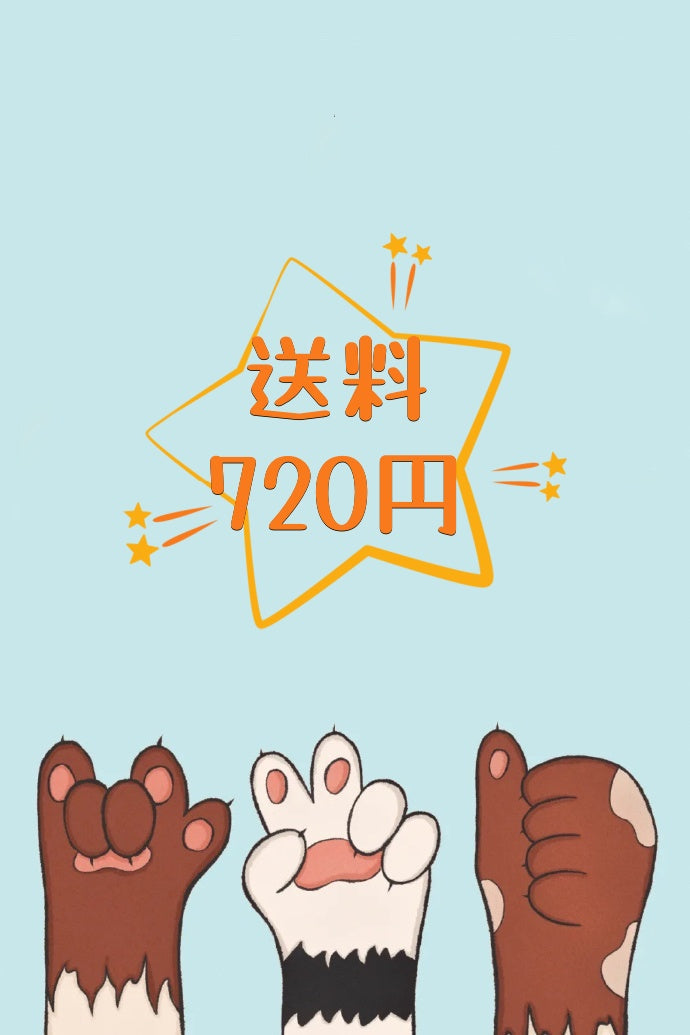 【送料専用リンク】5000円未満で発送したい方は必ずこのリンクを支払ってください!!!