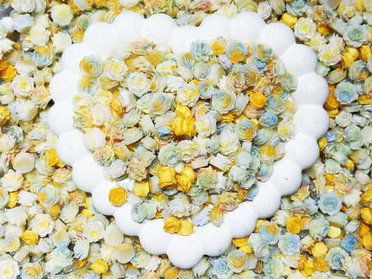 ♥人気♥【FL006】油絵のチュチュドレス（夜光ソフトバラ新色と新花型6種類）